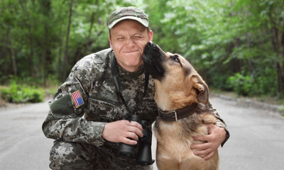 How Does K-9s for Warriors Support Veterans?
