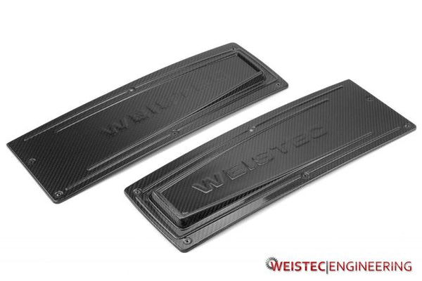 Carbon Fiber G550 Airboxes, M176